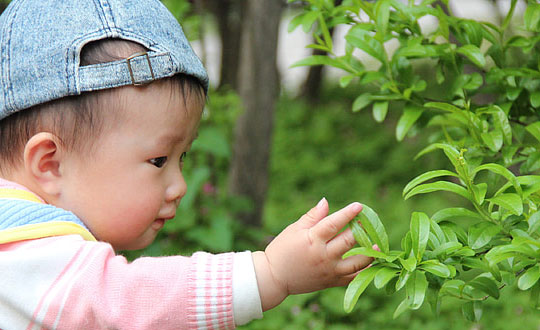   有文采典故的女孩名字大全：起名經(jīng)典和思路