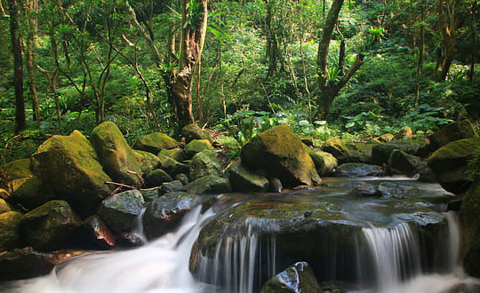 男孩起名免費(fèi),男孩起名五行缺木：大氣內(nèi)涵