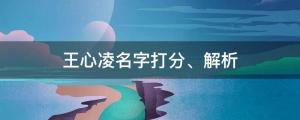 王心凌總冠軍！王心凌名字打分、解析