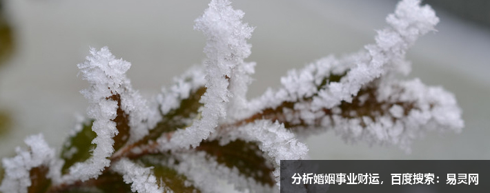  寓意很好的四字成語(yǔ)起名字